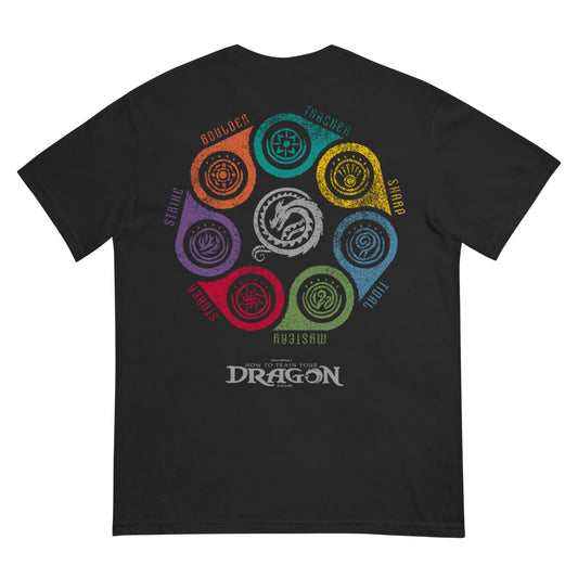 How to Train Your Dragon Seven Classes Comfort Colors T-Shirt Black-0