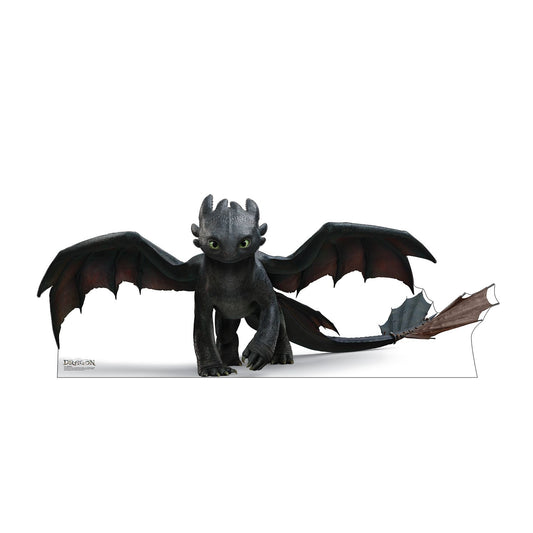 How to Train Your Dragon Live Action Toothless Standee-0