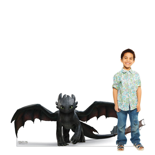 How to Train Your Dragon Live Action Toothless Standee-1