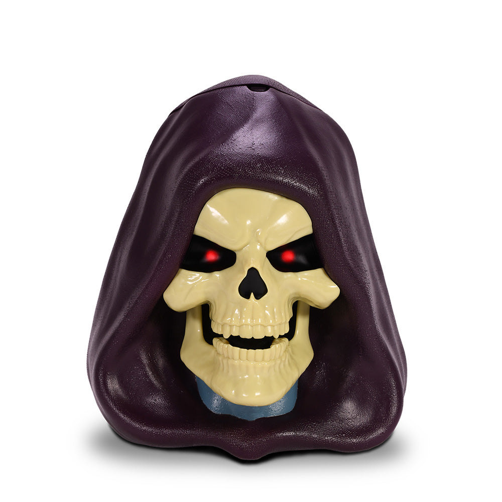 Masters of the Universe Skeletor Head Bucket