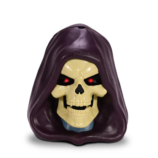 Masters of the Universe Skeletor Head Bucket-0
