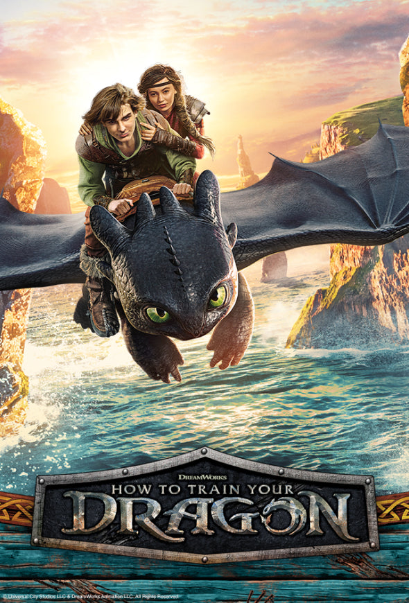 Link to /collections/how-to-train-your-dragon