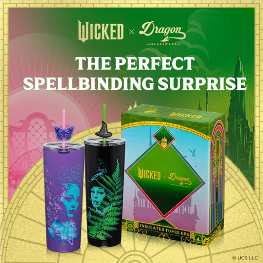 Wicked For Good Tumbler - 24 oz Set of 2-6