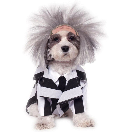 Beetlejuice Costume For Pets-0