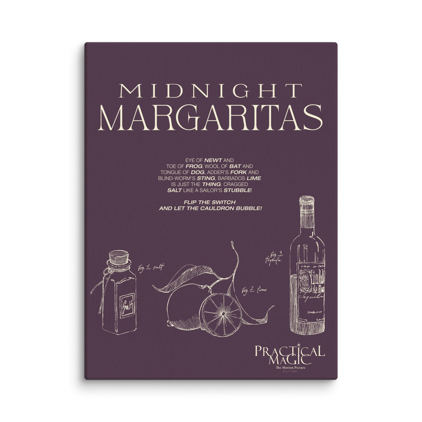 Practical Magic Midnight Margaritas Recipe Canvas Poster