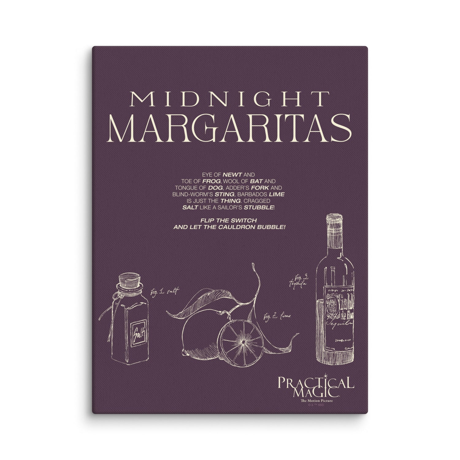 Practical Magic Midnight Margaritas Recipe Canvas Poster