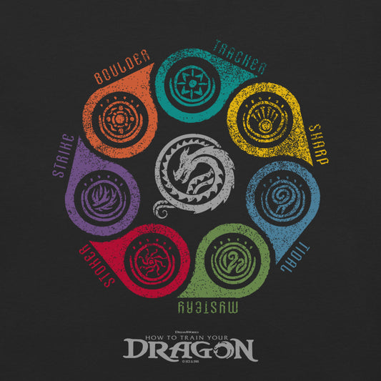 How to Train Your Dragon Seven Classes Comfort Colors T-Shirt Black-3