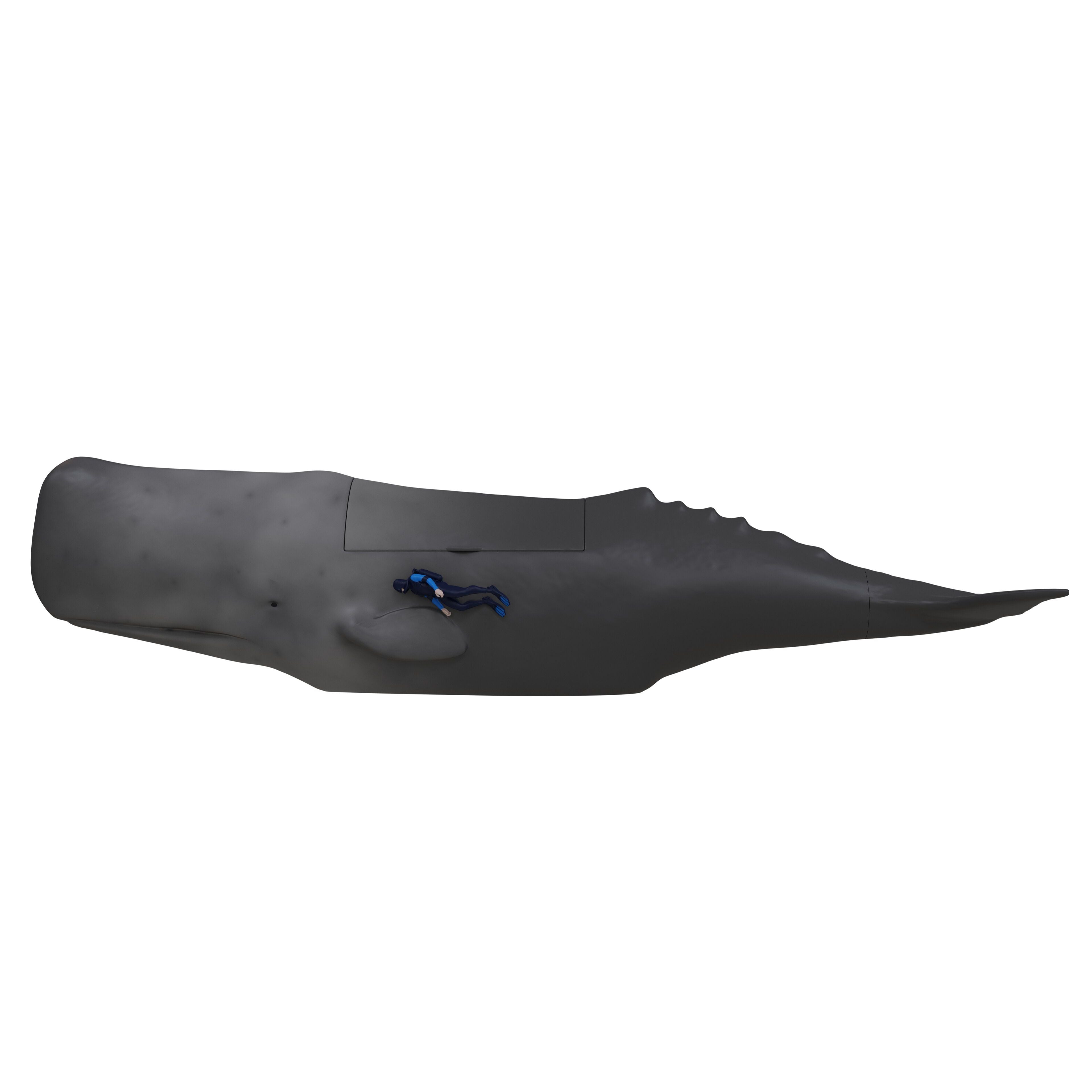 Whalefall Whale Popcorn Bucket | AMC Theatres | The Shop