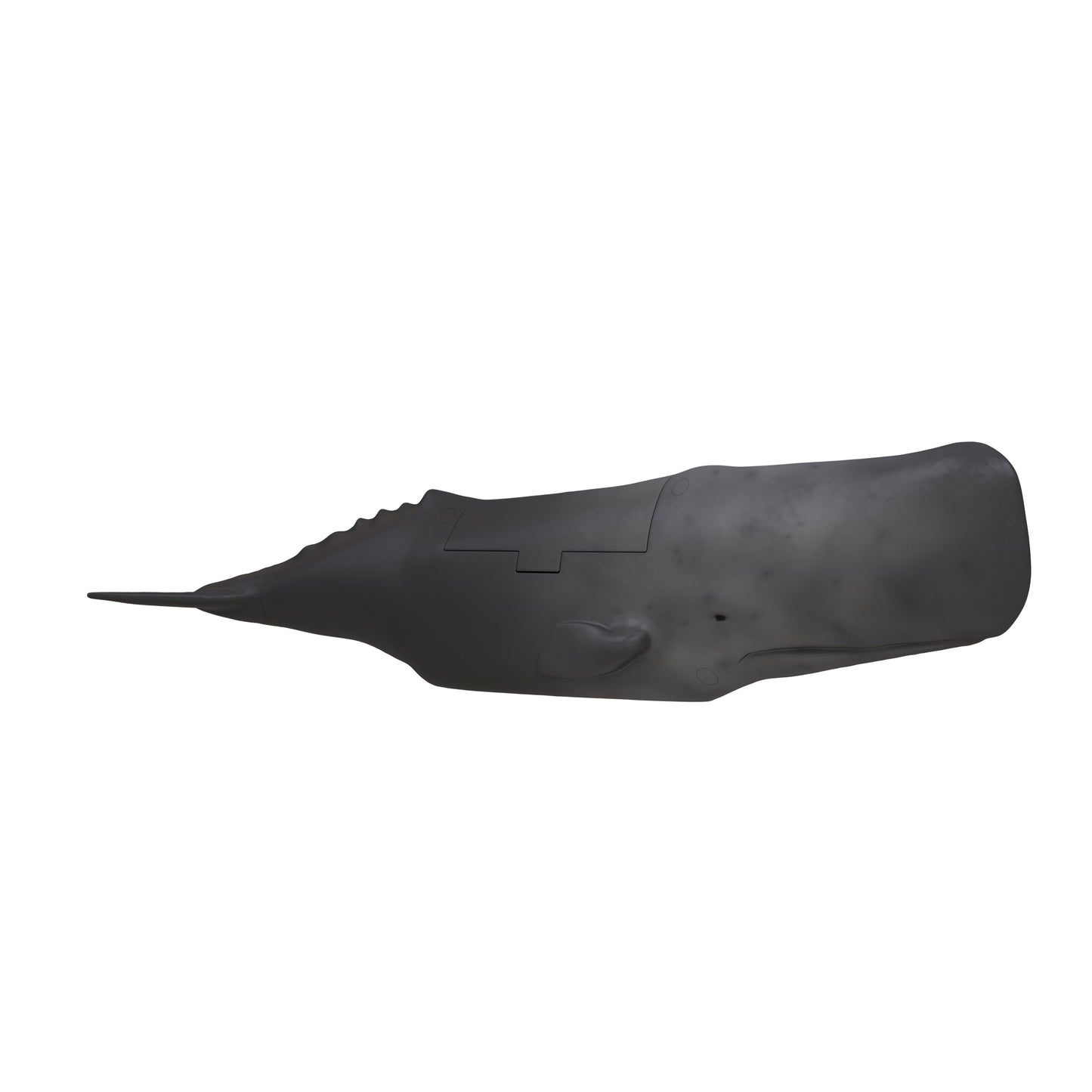 Side profile of the Whalefall Whale Popcorn Bucket highlighting its 20-inch length