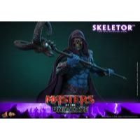 Masters of the Universe Skeletor 1:6 scale figure by Hot Toys front view-9