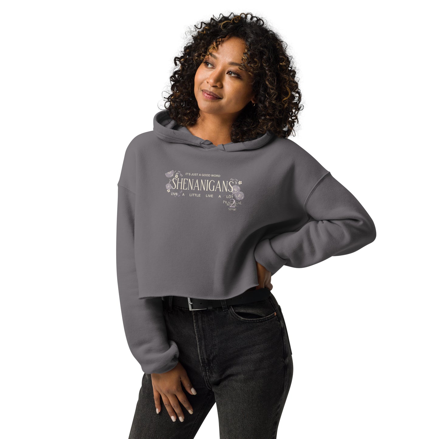 Close up of the Shenanigans graphic design on the Practical Magic 2 cropped sweatshirt