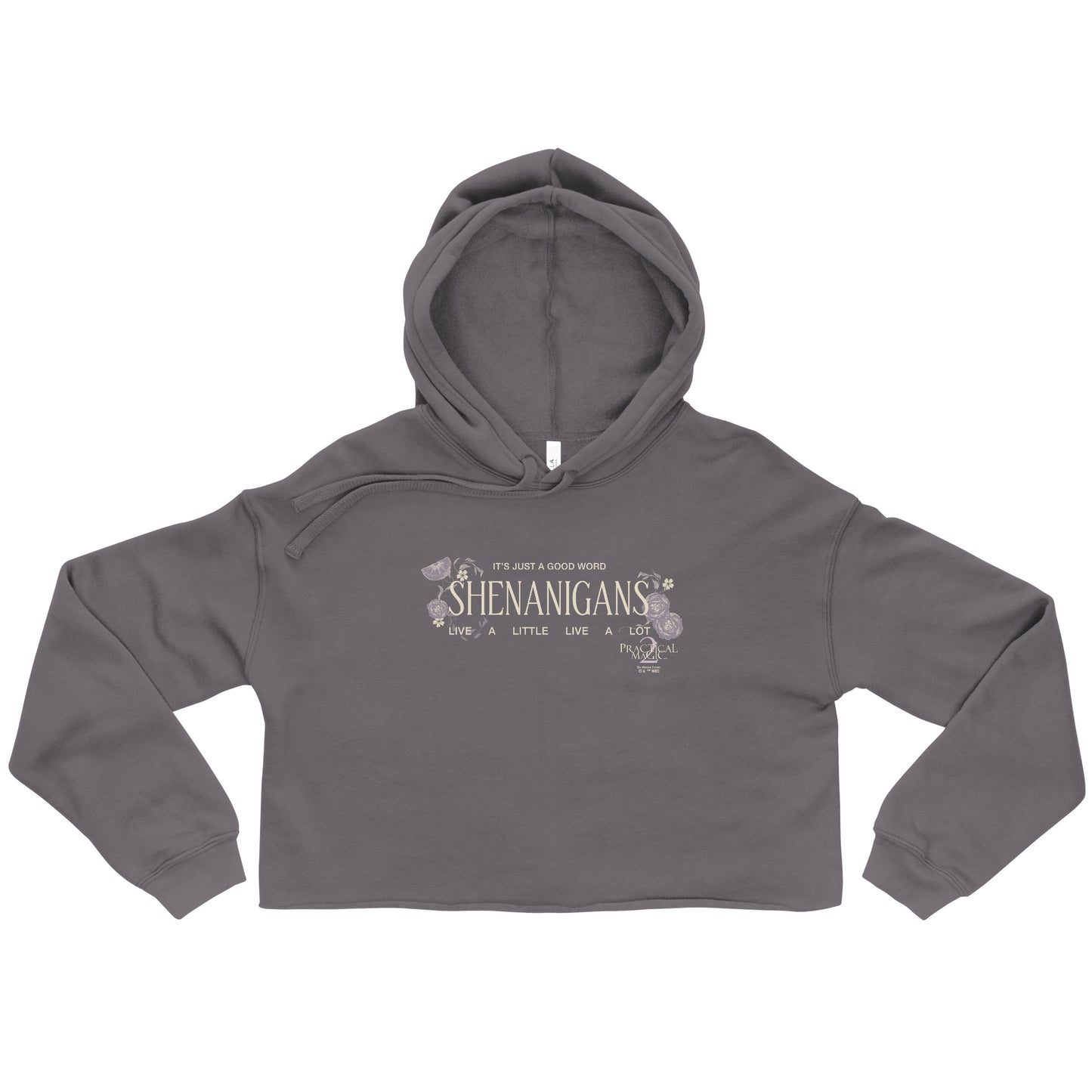 Practical Magic 2 Cropped Hoodie in black with Shenanigans white text design front view