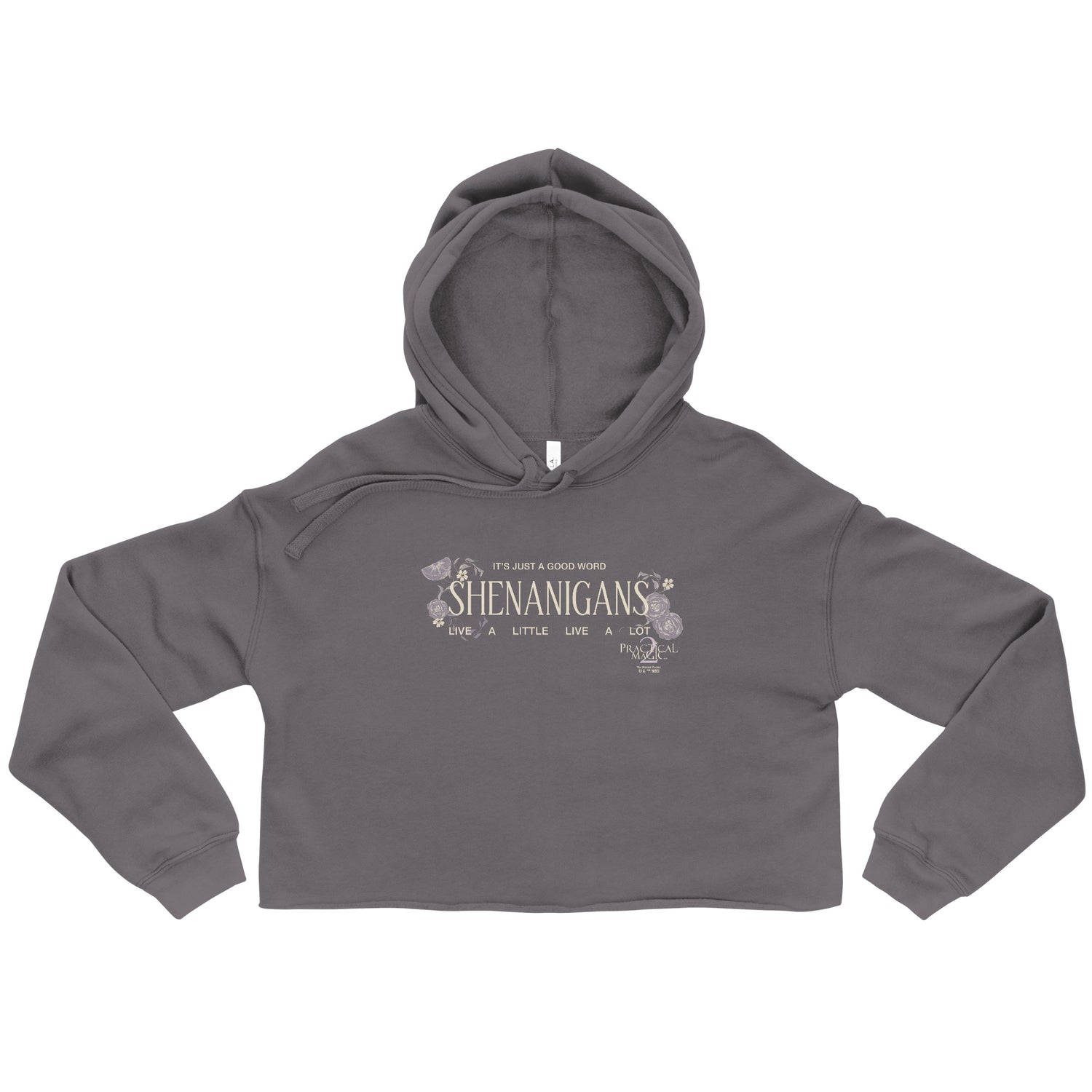 Practical Magic 2 Cropped Hoodie in black with Shenanigans white text design front view